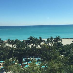 Meet your Posher, Tricia